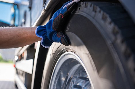 Декоративное изображение