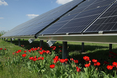 Декоративное изображение