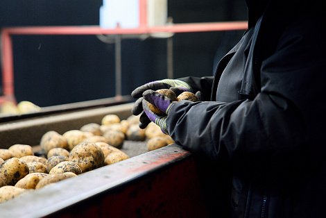 Декоративное изображение