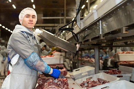 Декоративное изображение