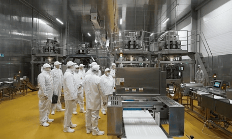 Декоративное изображение