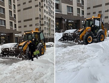 Декоративное изображение