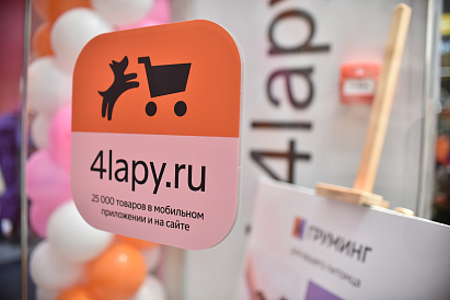 Декоративное изображение