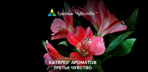 Декоративное изображение