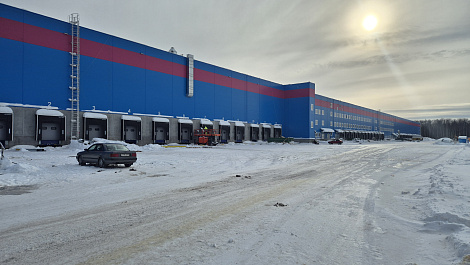 Декоративное изображение