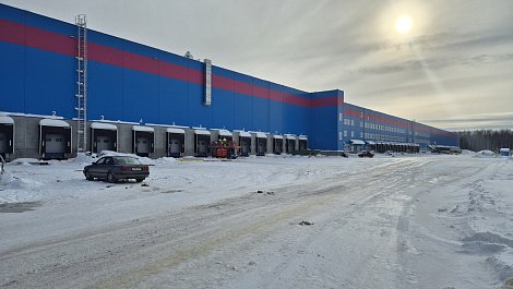 Декоративное изображение