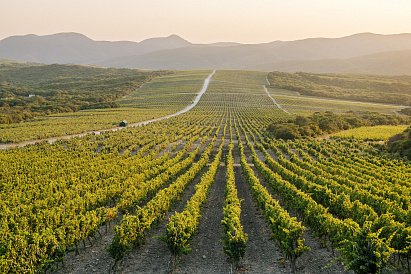 Декоративное изображение