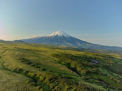 Декоративное изображение
