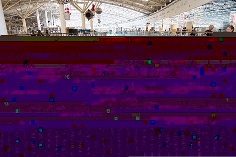 Декоративное изображение