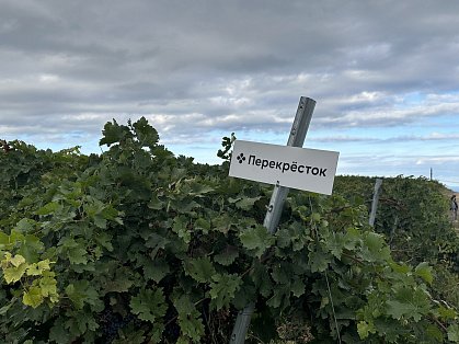 Декоративное изображение