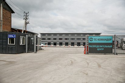 Декоративное изображение