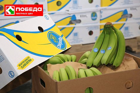 Декоративное изображение