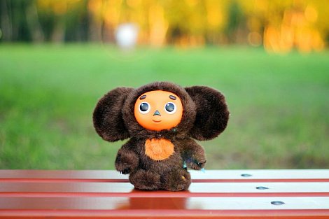 Декоративное изображение