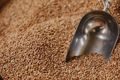 Декоративное изображение