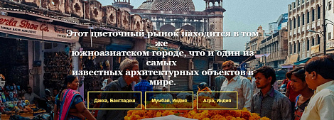 Декоративное изображение
