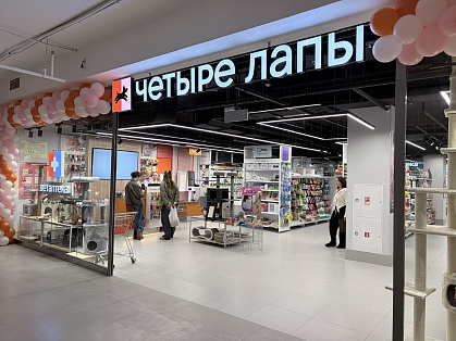 Декоративное изображение