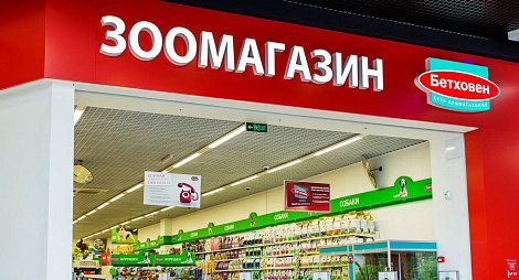 Декоративное изображение