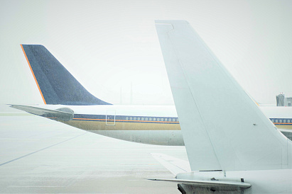 Декоративное изображение