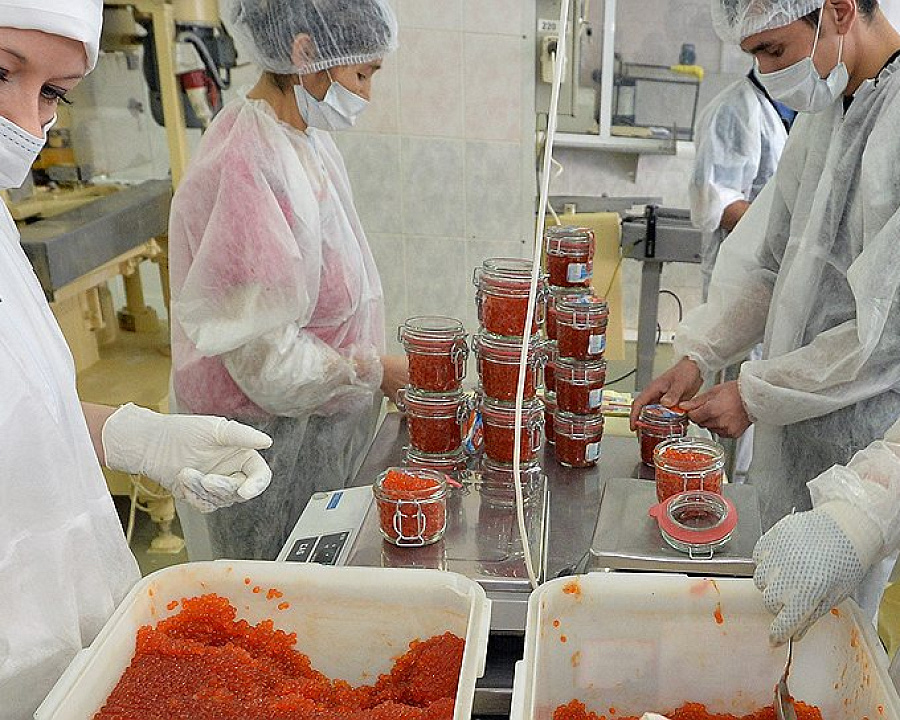 Как правило, в стеклянные банки фасуют икру высокого качества – просто потому, что ее там видно. Фото: Дмитрий Коротаев, Коммерсантъ