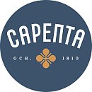 Декоративное изображение