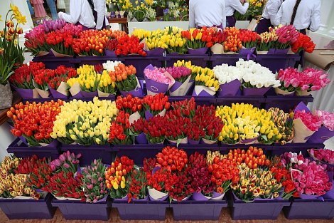 Декоративное изображение