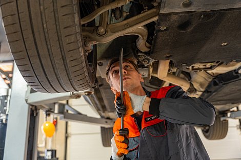 Декоративное изображение