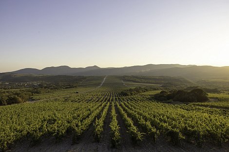 Декоративное изображение