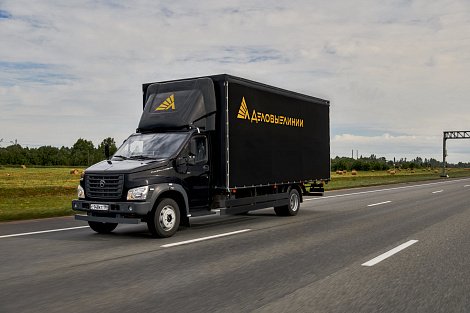 Декоративное изображение