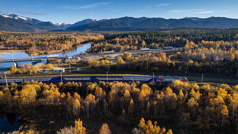 Декоративное изображение