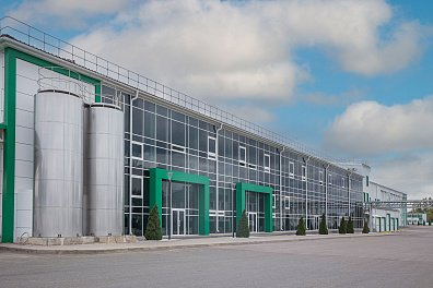 Декоративное изображение