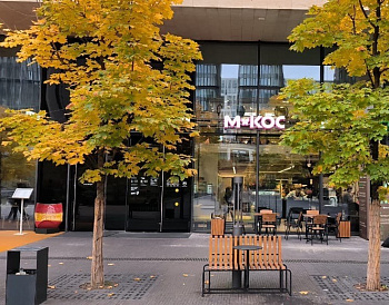 Декоративное изображение