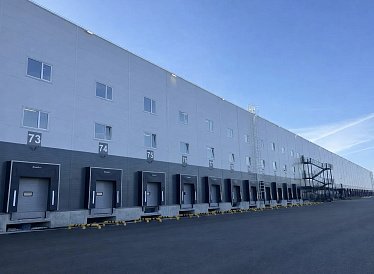 Декоративное изображение