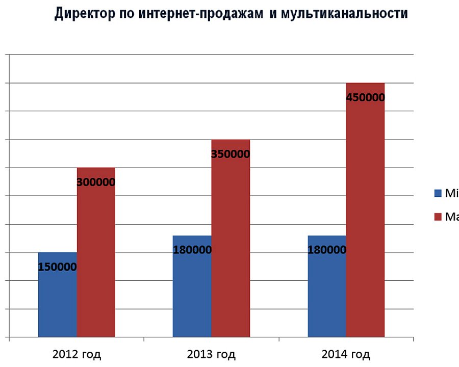 Директор по интернет-продажам и мультиканальности