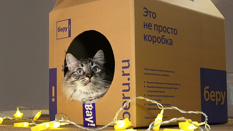 Декоративное изображение