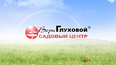 Декоративное изображение