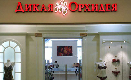 Декоративное изображение