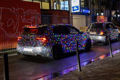 Декоративное изображение