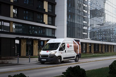 Декоративное изображение