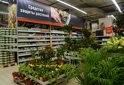 Декоративное изображение