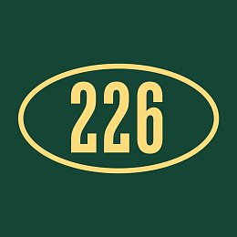 Смысловая 226