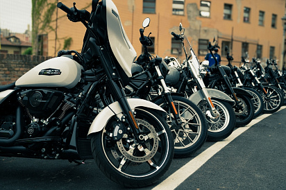 Декоративное изображение