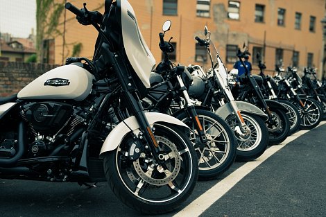 Декоративное изображение