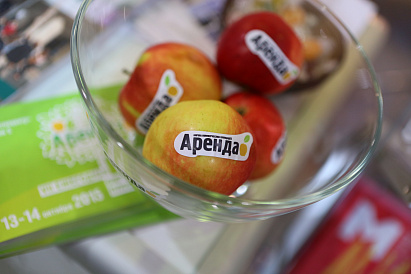 Декоративное изображение