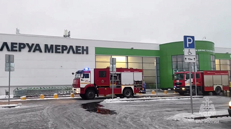 Декоративное изображение