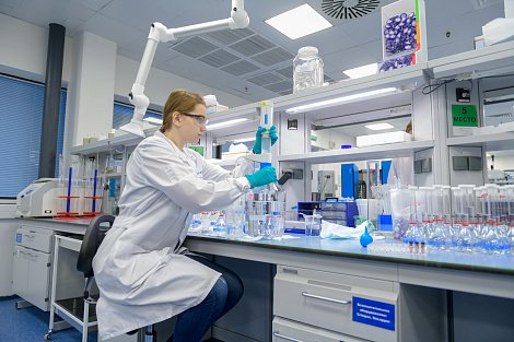 Декоративное изображение