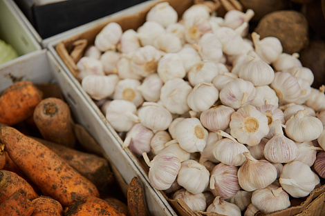 Декоративное изображение