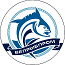 ДМ-Профи