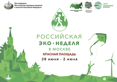 Декоративное изображение